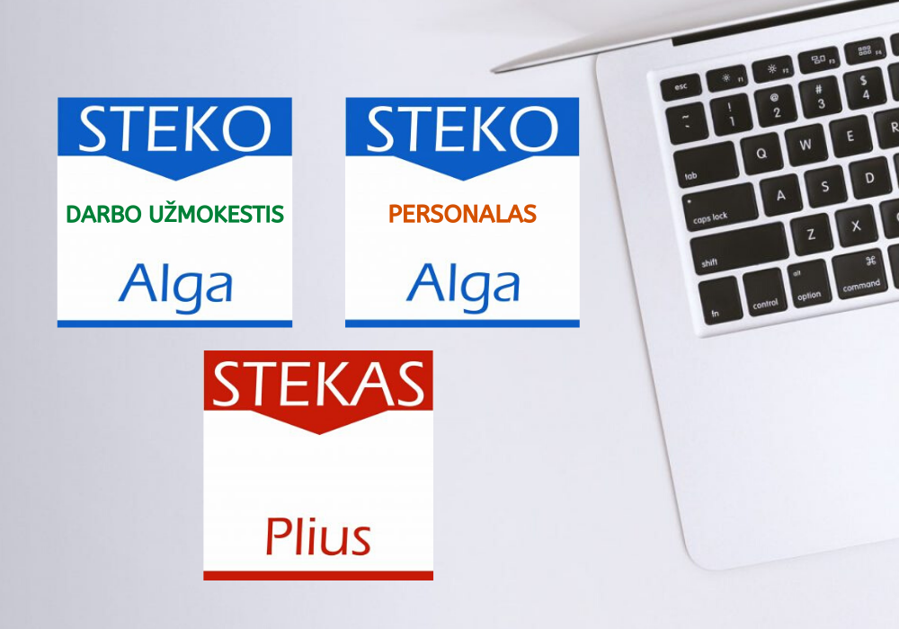 STEKO programų nuotoliniai kursai